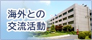 海外との交流活動