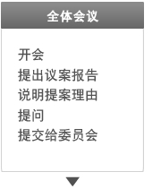 全体会议:开会,提出议案报告,说明提案理由,提问,提交给委员会